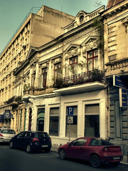 doamnei_dianacretu_18