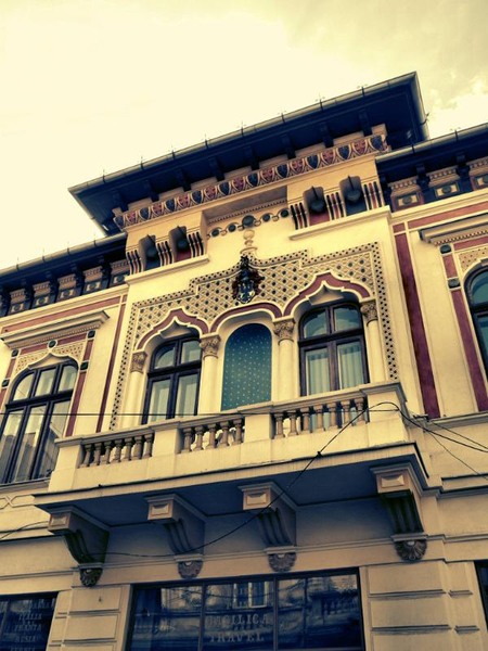 doamnei_dianacretu_19