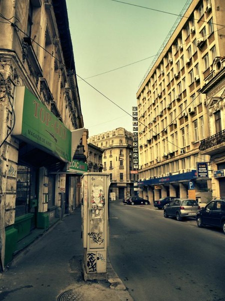 doamnei_dianacretu_22