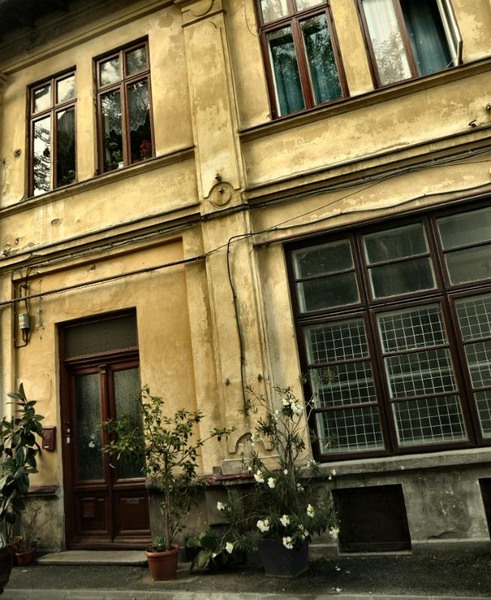 doamnei_dianacretu_23