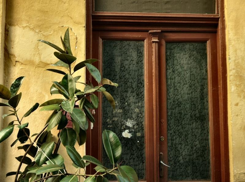 doamnei_dianacretu_26