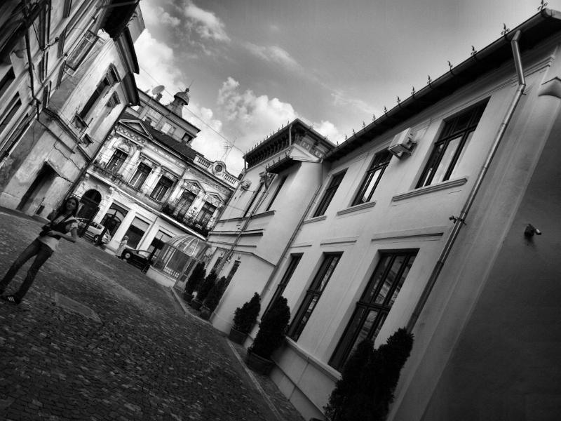 doamnei_dianacretu_27