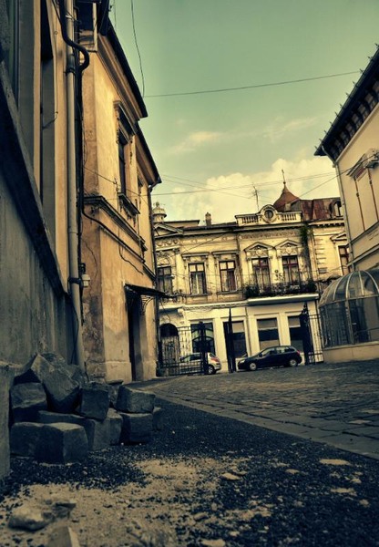 doamnei_dianacretu_29