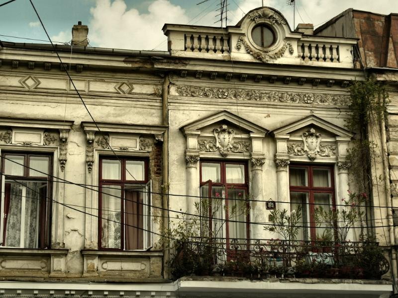 doamnei_dianacretu_30