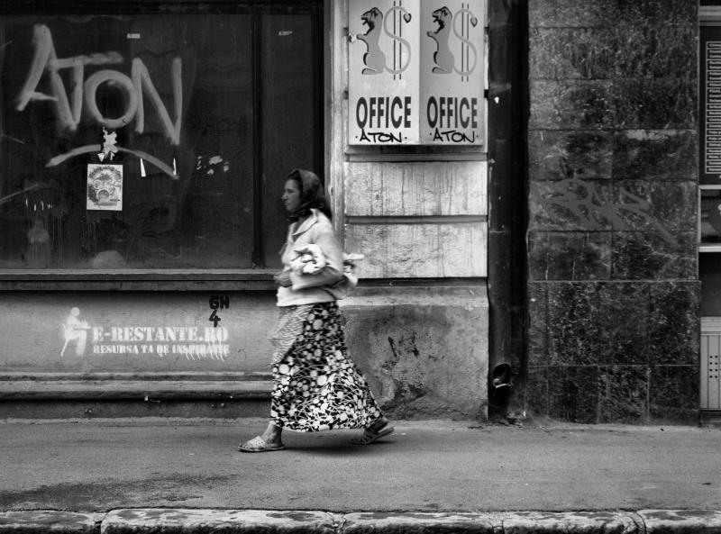 doamnei_dianacretu_33