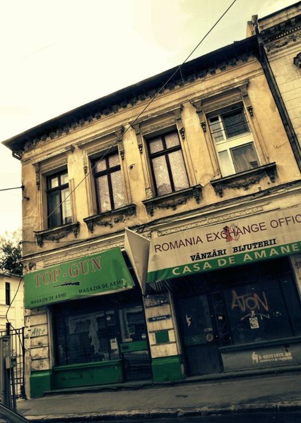 doamnei_dianacretu_35