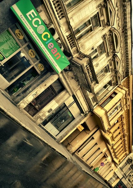 doamnei_dianacretu_36