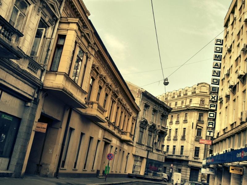 doamnei_dianacretu_37