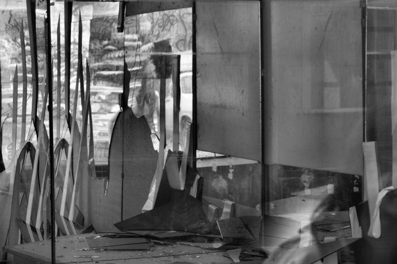 doamnei_dianacretu_39