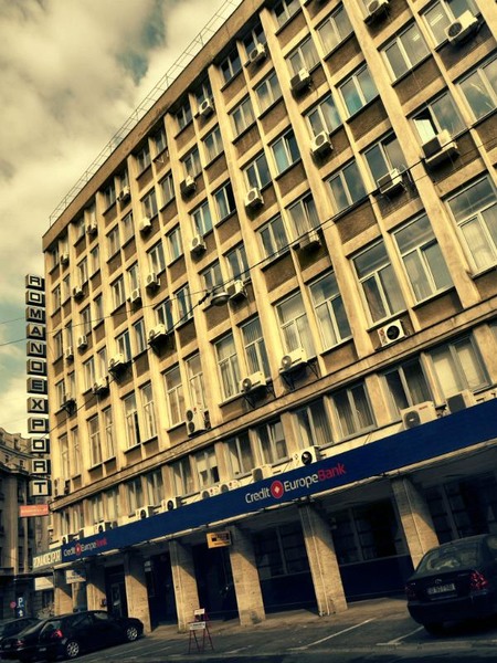 doamnei_dianacretu_41