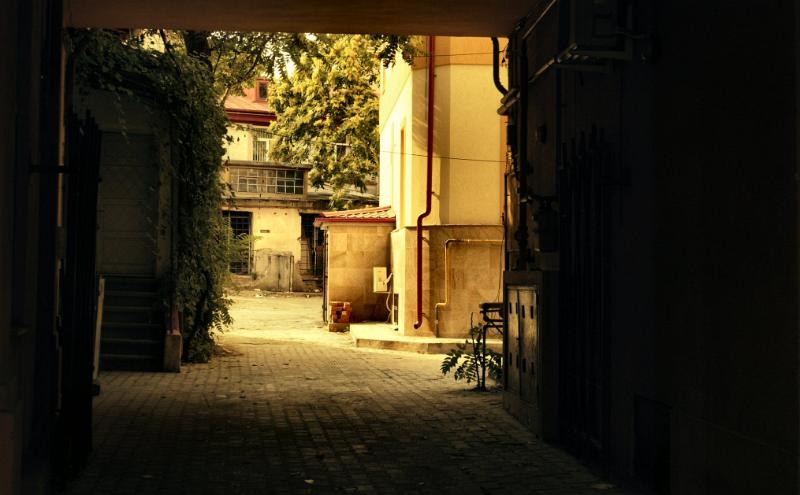 doamnei_dianacretu_42