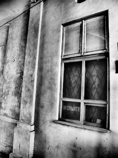 doamnei_dianacretu_43