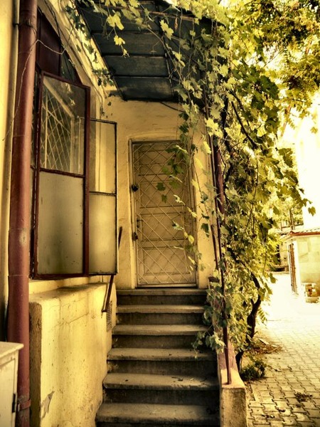 doamnei_dianacretu_44