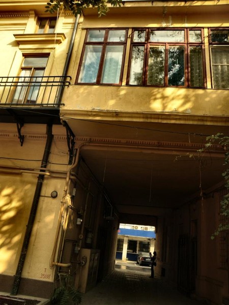 doamnei_dianacretu_45