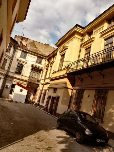 doamnei_dianacretu_46