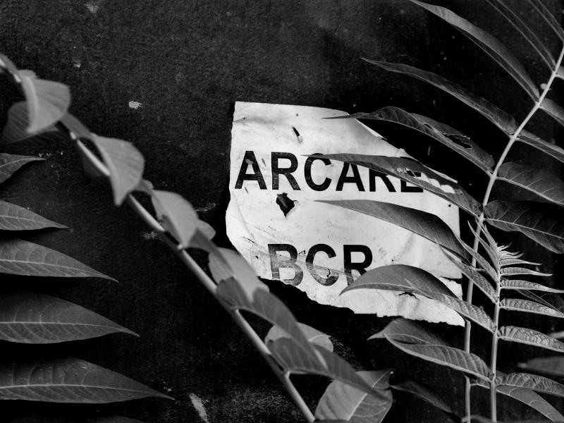 doamnei_dianacretu_47