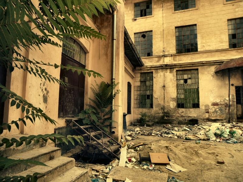 doamnei_dianacretu_48