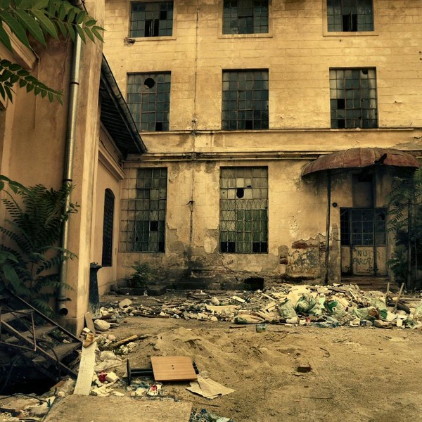 doamnei_dianacretu_49