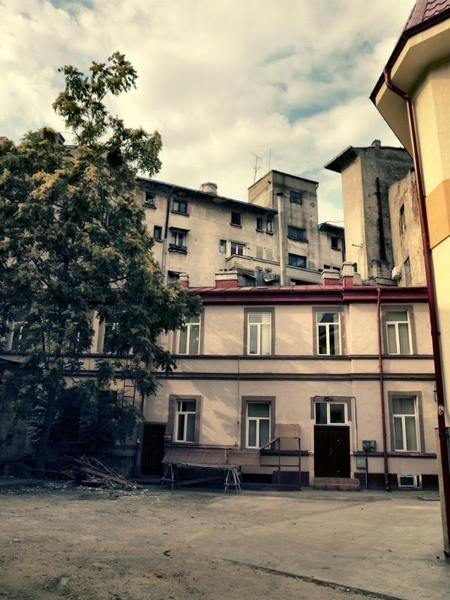 doamnei_dianacretu_50