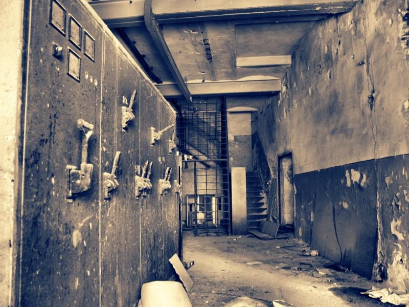 doamnei_dianacretu_52