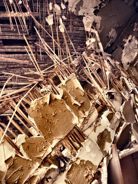 doamnei_dianacretu_55