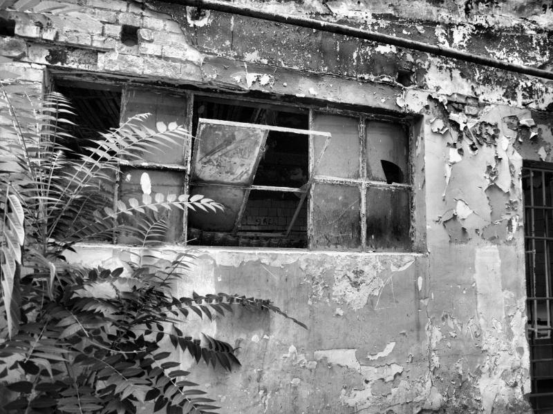 doamnei_dianacretu_57