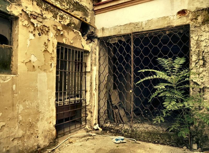 doamnei_dianacretu_58