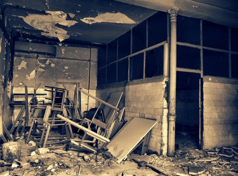 doamnei_dianacretu_59