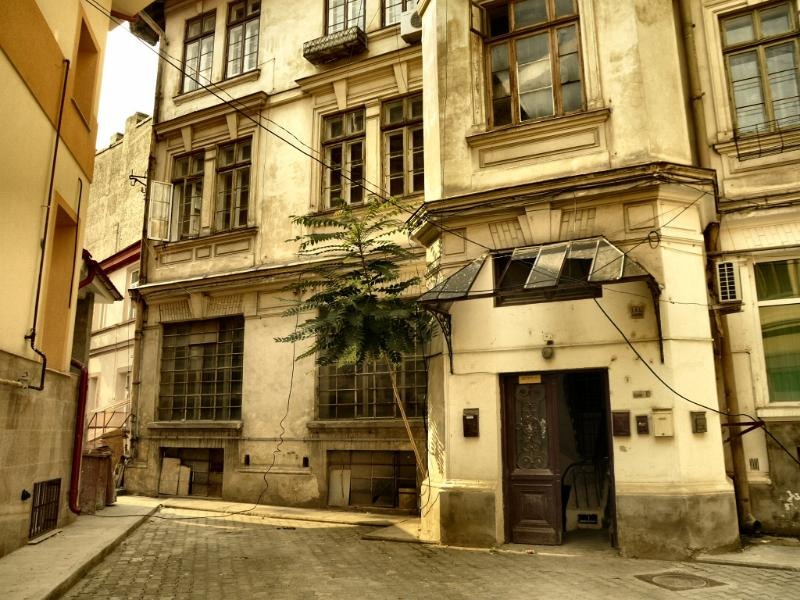 doamnei_dianacretu_61