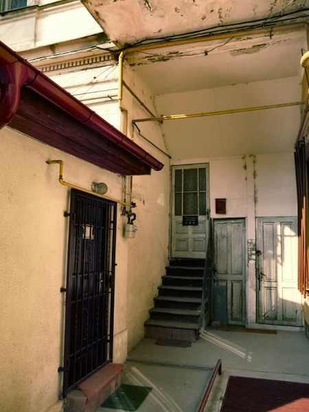 doamnei_dianacretu_62