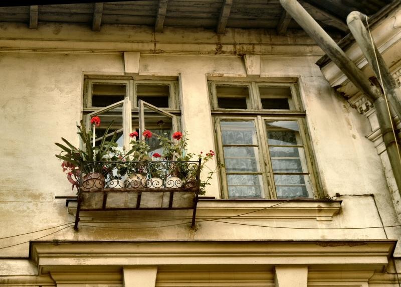 doamnei_dianacretu_63