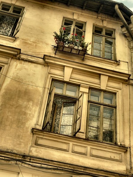 doamnei_dianacretu_64