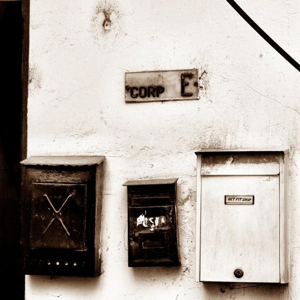 doamnei_dianacretu_65