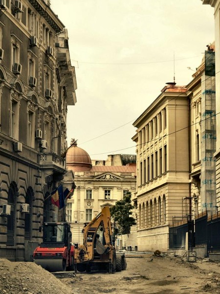 doamnei_dianacretu_76