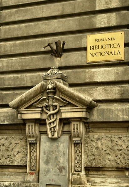 doamnei_dianacretu_77