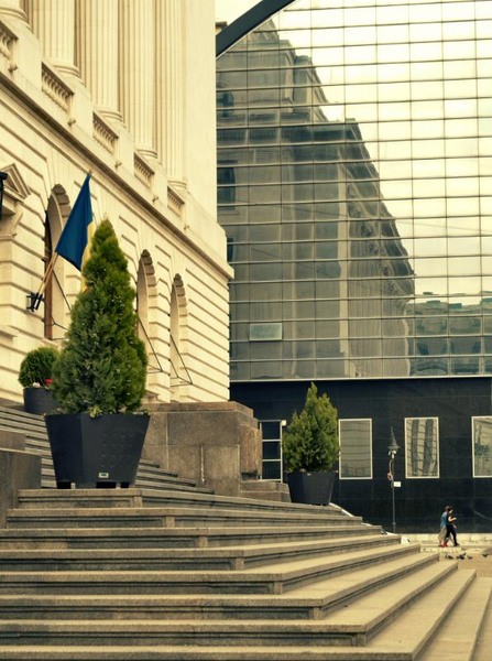 doamnei_dianacretu_81