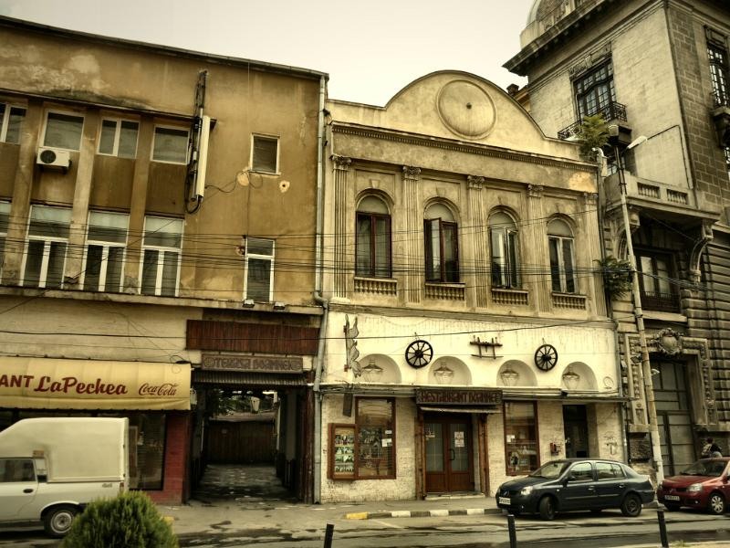 doamnei_dianacretu_84