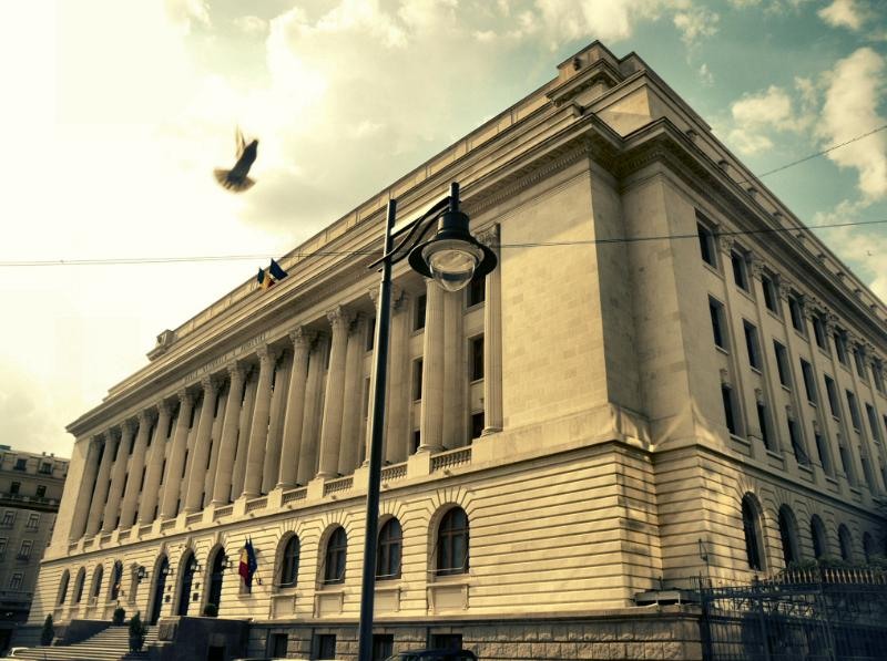 doamnei_dianacretu_88