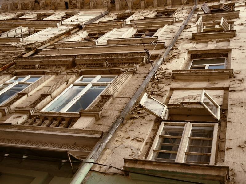 doamnei_dianacretu_94