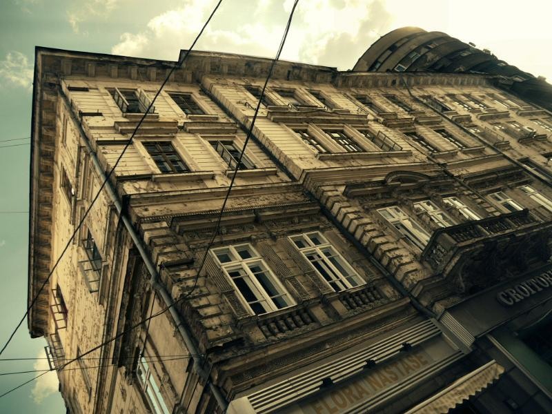 doamnei_dianacretu_95