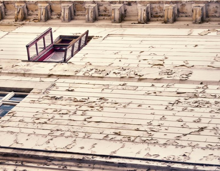 doamnei_dianacretu_96