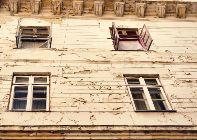 doamnei_dianacretu_97