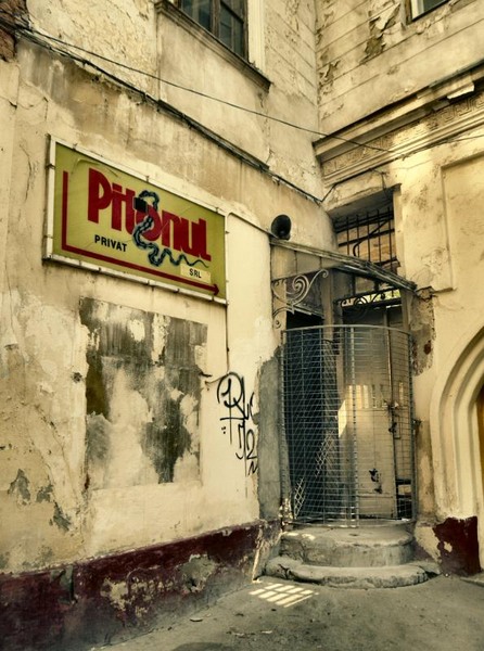 doamnei_dianacretu_98