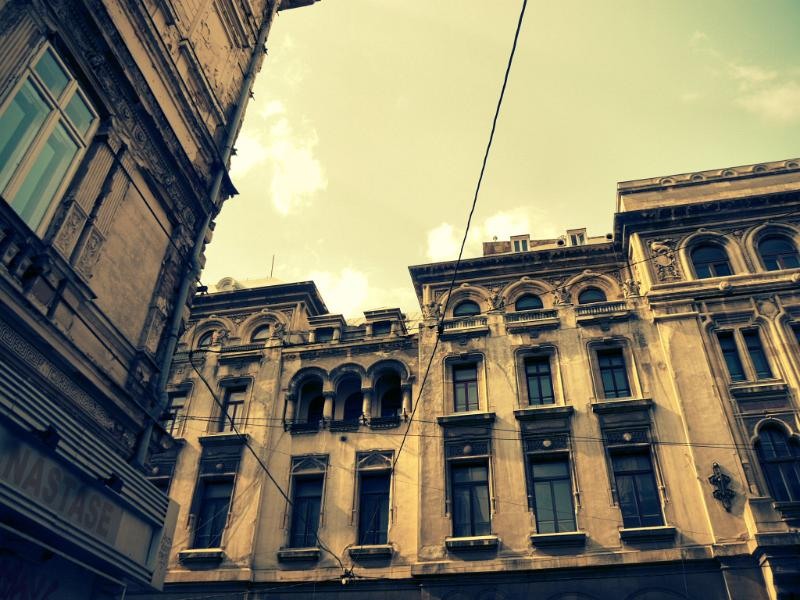 doamnei_dianacretu_99