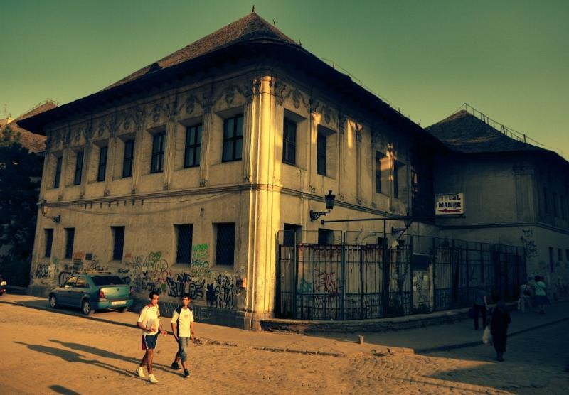 franceza_dianacretu_03