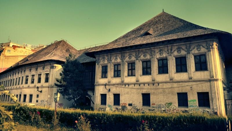 franceza_dianacretu_07