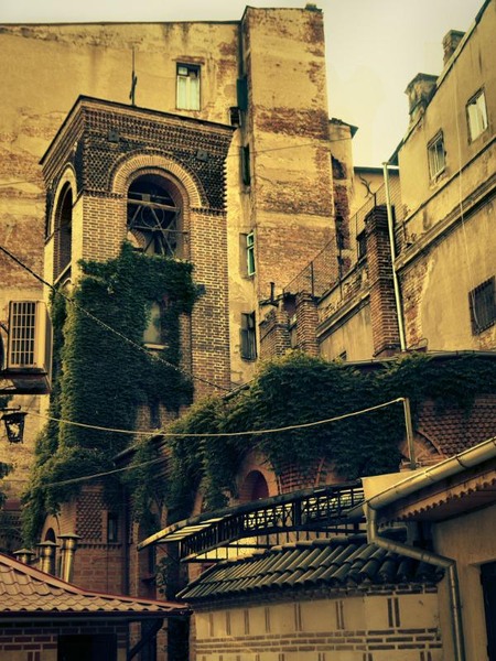 franceza_dianacretu_12