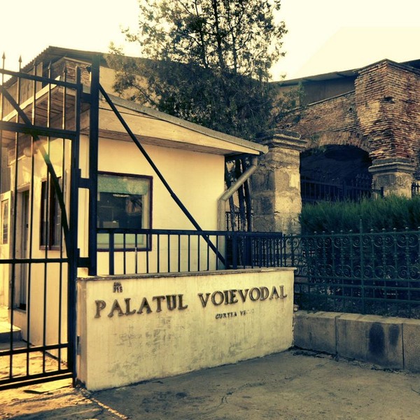 franceza_dianacretu_13