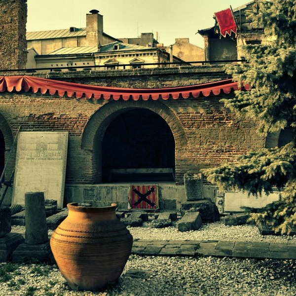 franceza_dianacretu_14