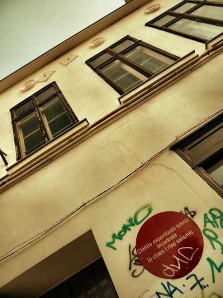 franceza_dianacretu_17